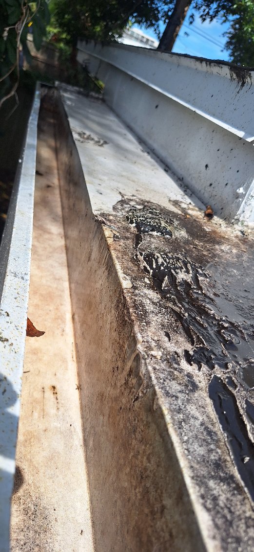 Window Hero Northern Tampa Image