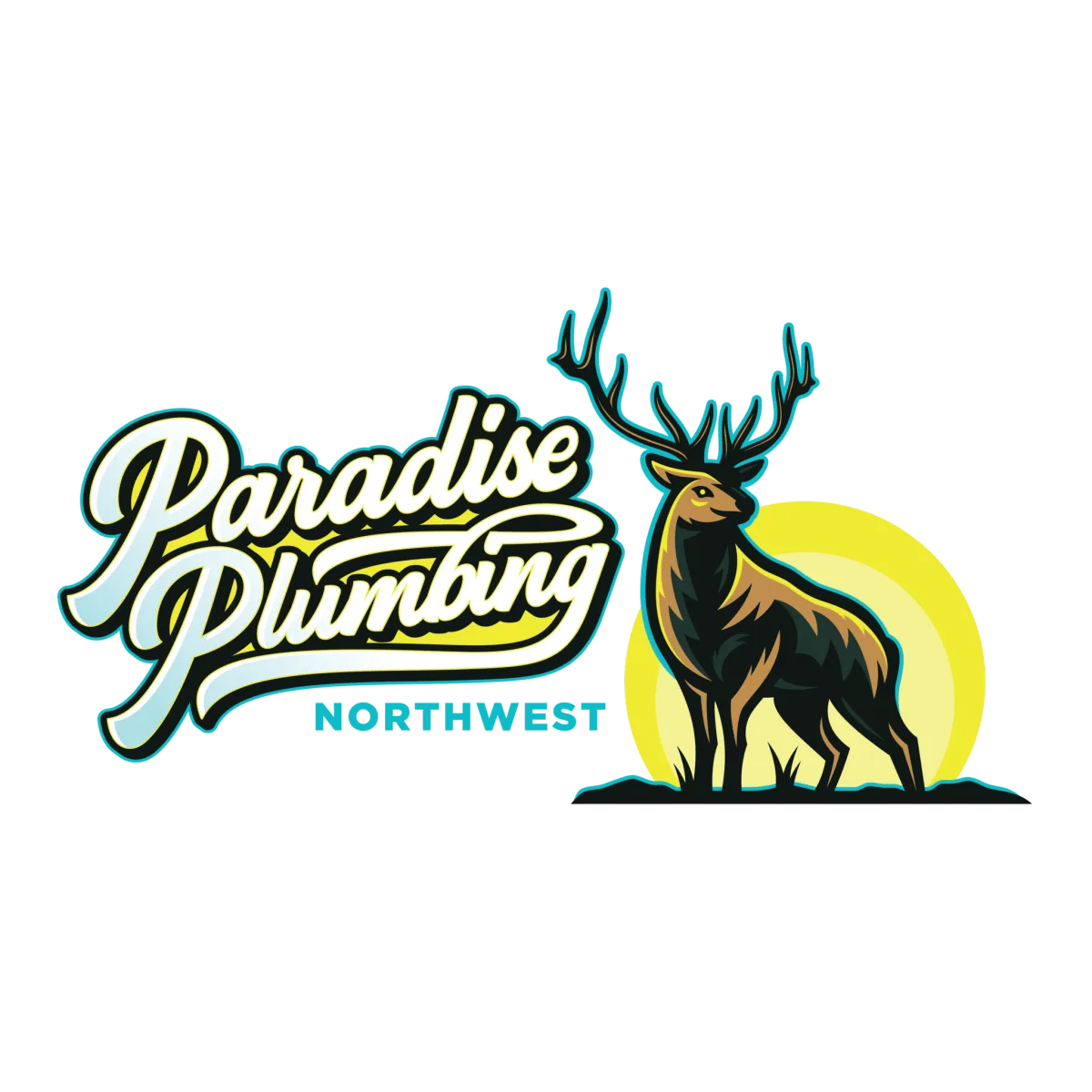 Paradise Plumbing Northwest LLC Logo