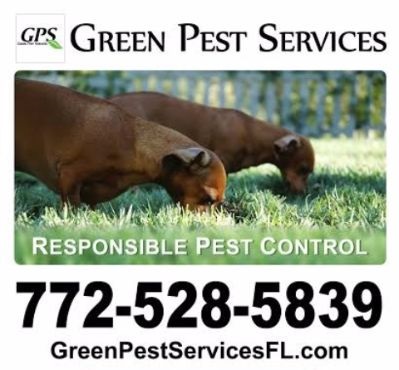 Green Pest Services, LLC Photo