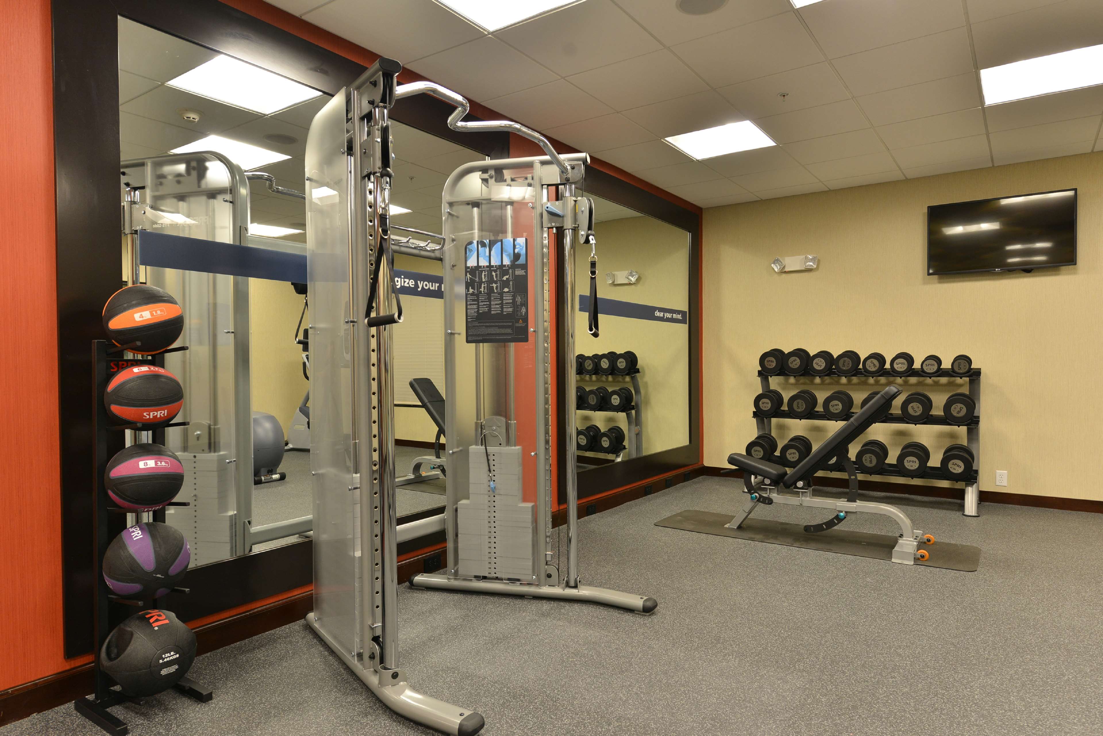 Health club  fitness center  gym