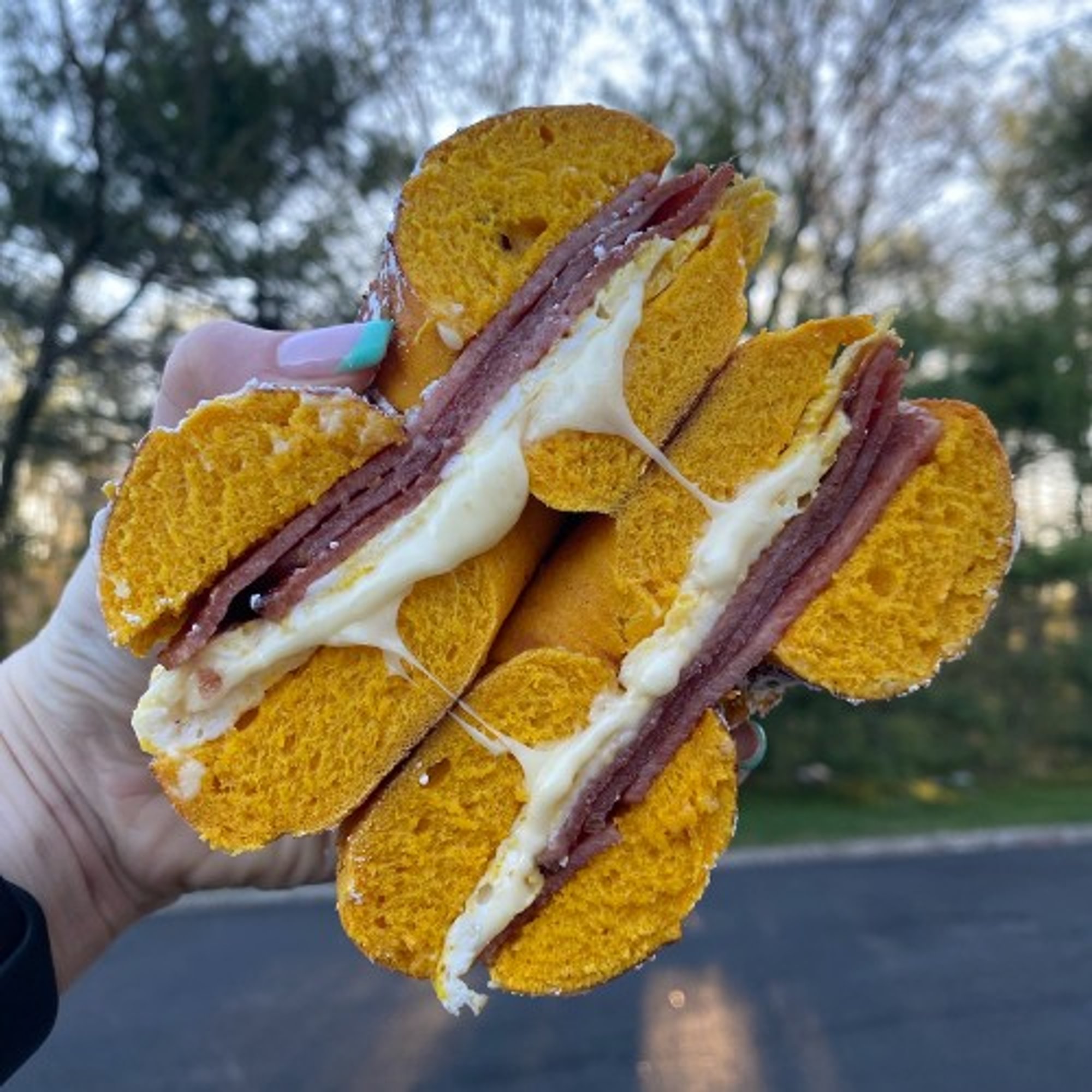 Meat, Egg & CH Sandwich