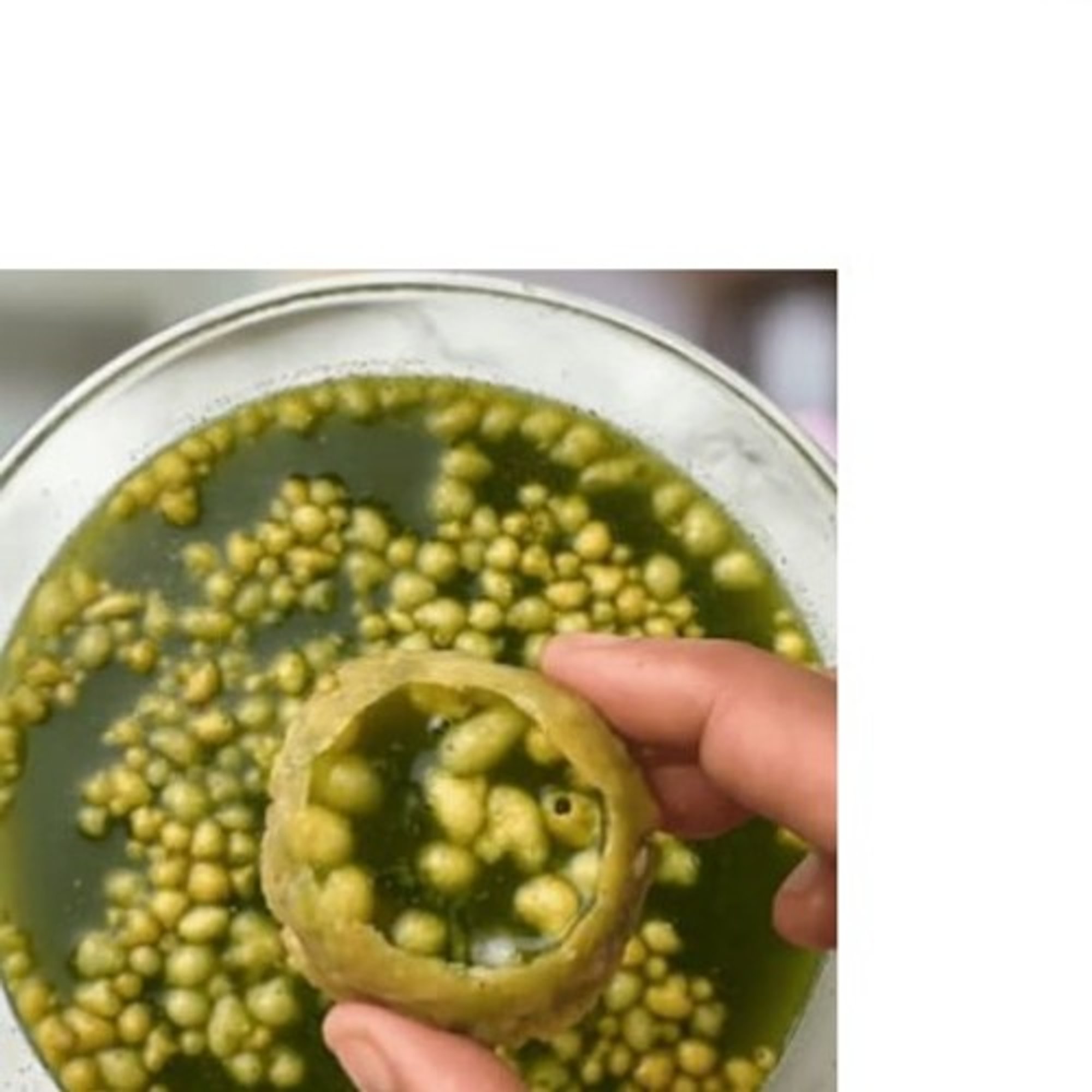 Octocrunch Panipuri