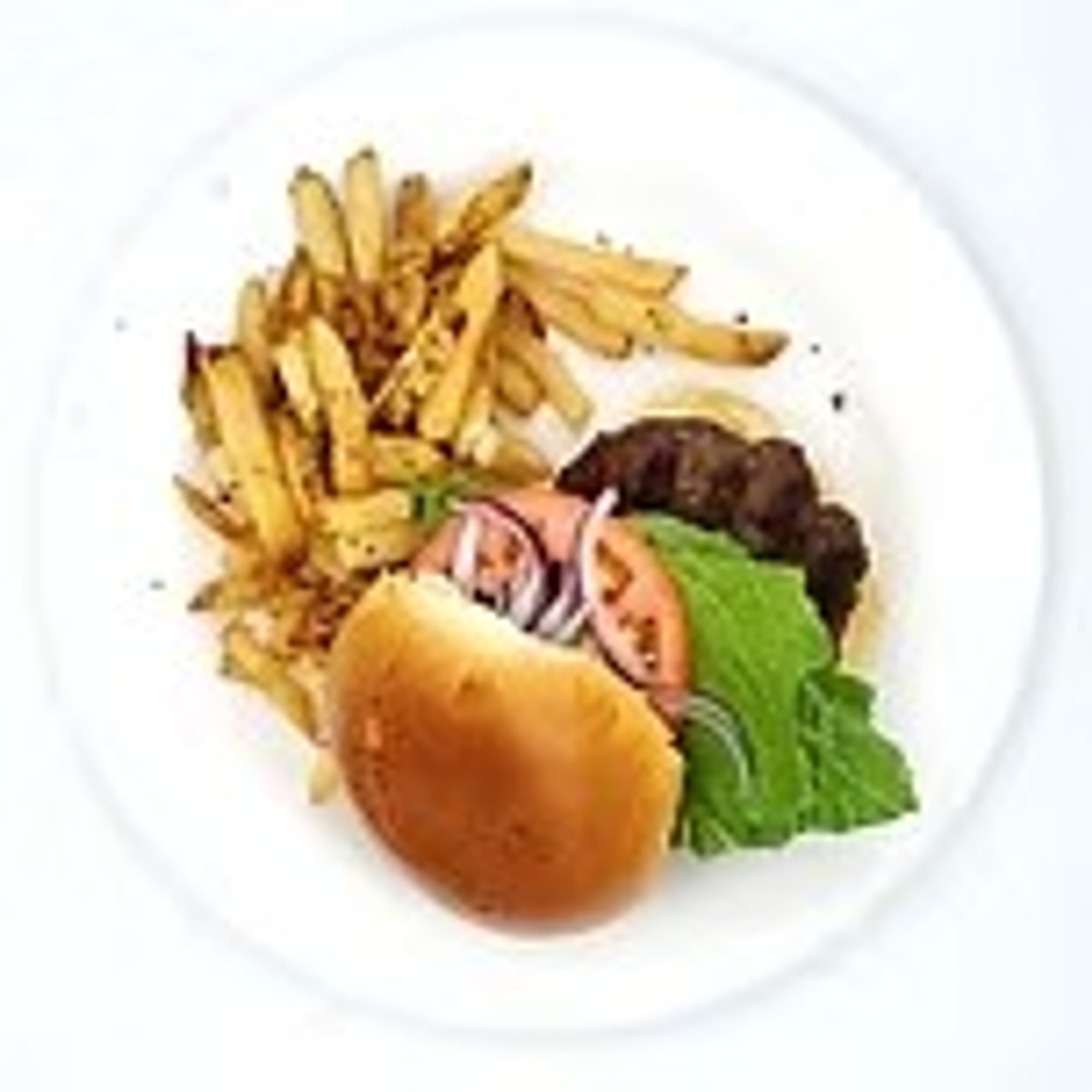 Mozzarella Burger