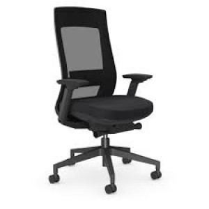X.22 Ergonomic Black Mesh Back Chair