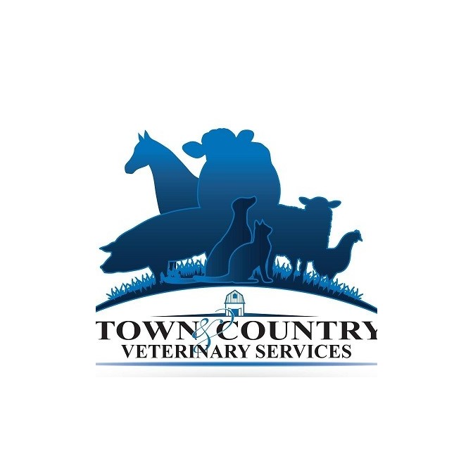 Town & Country Veterinary Services