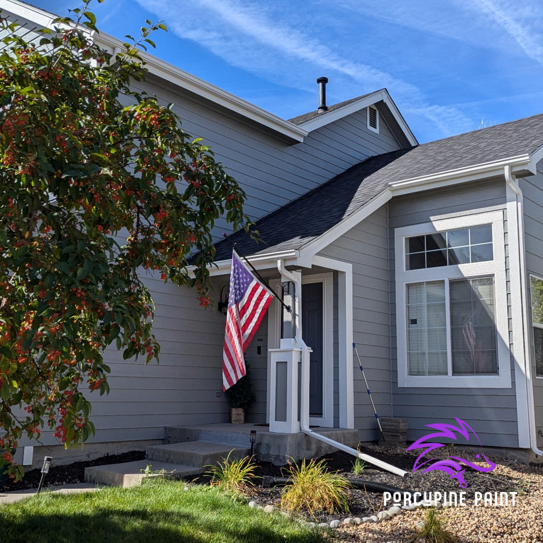 Porcupine Paint Image