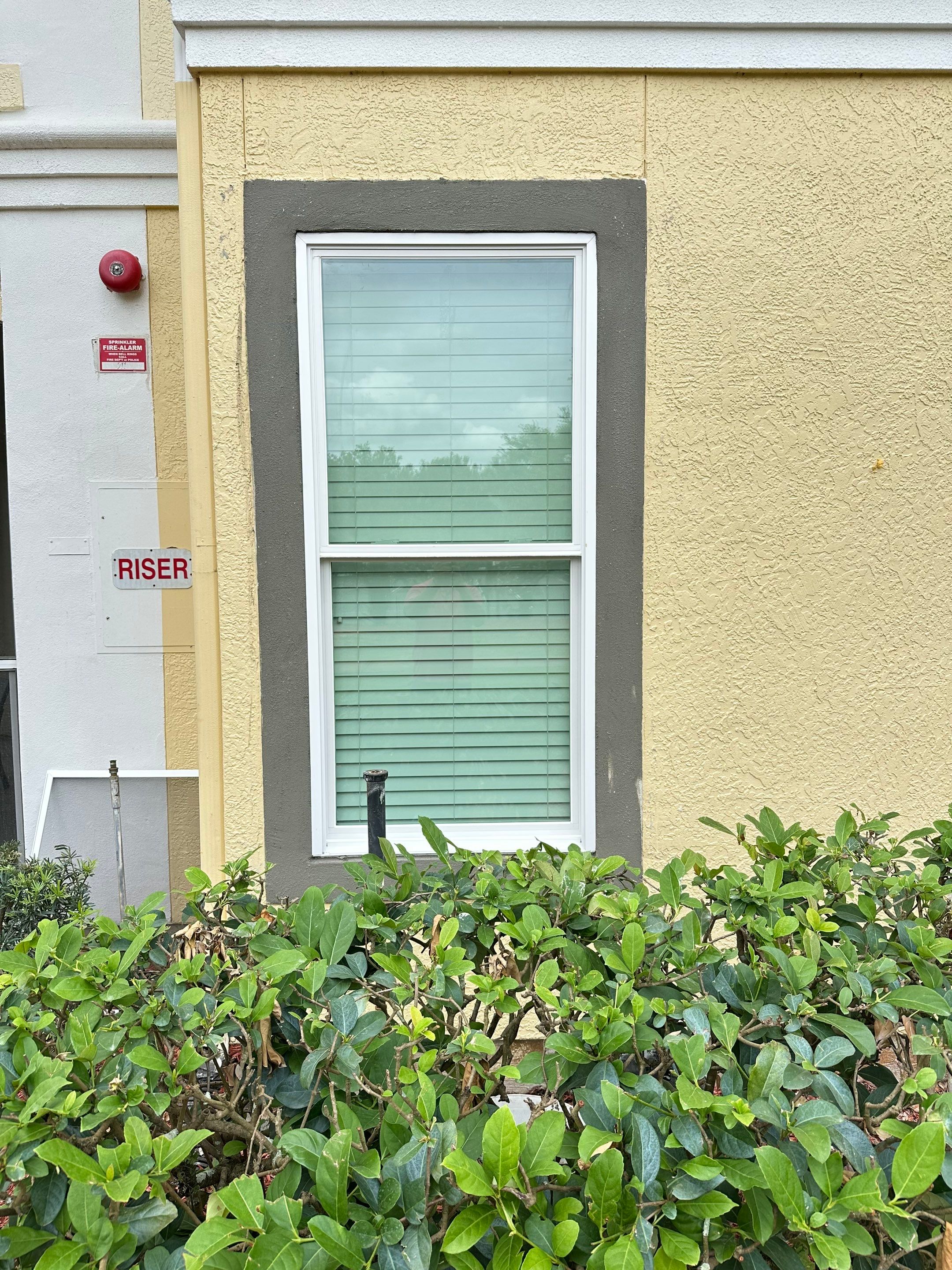 Window Team USA of Orlando Image