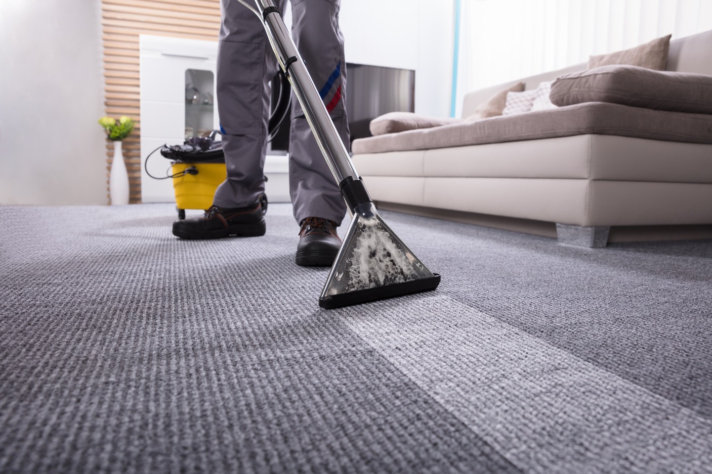 Clean Wave Carpet Care Photo