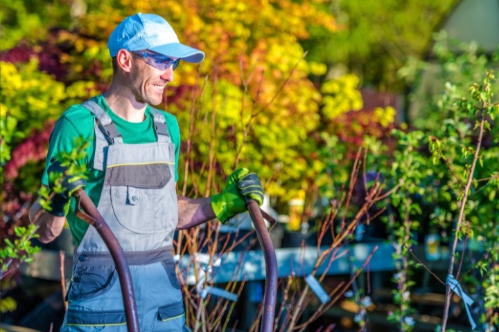 Entretien d'espaces verts