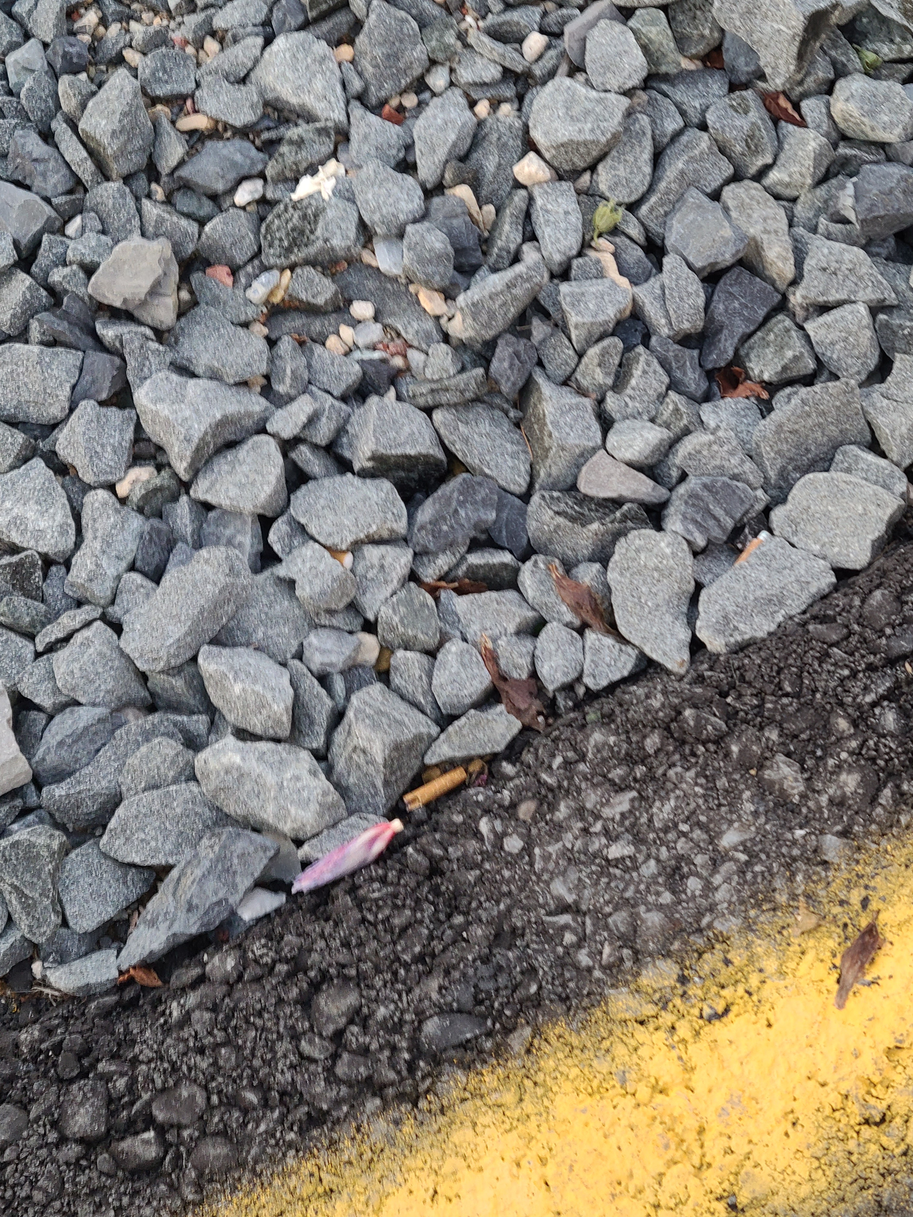 Windsor Site Works Logo