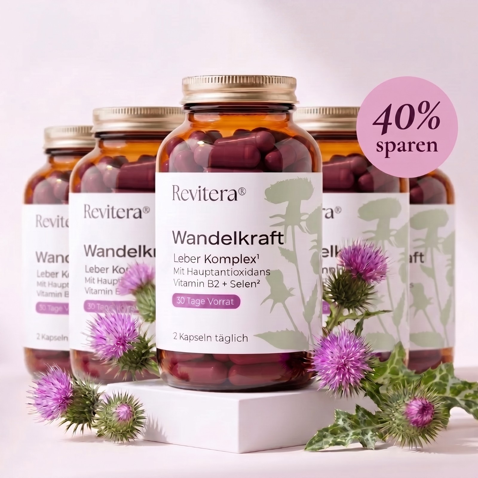 Wandelkraft 5-pack (5 months)