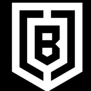 Battle Born Protection Films