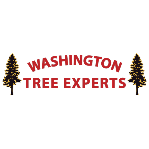 Washington Tree Experts Logo