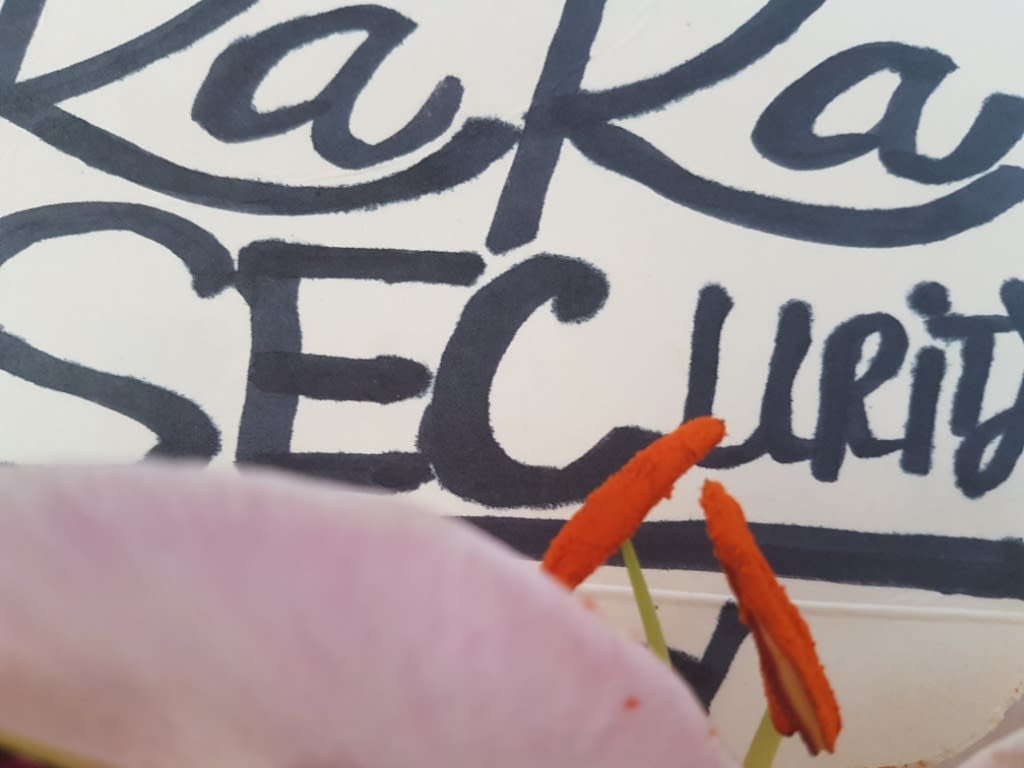 Images KaKa SECurity