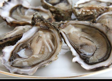 Cap'n Cat Clam Bar Logo