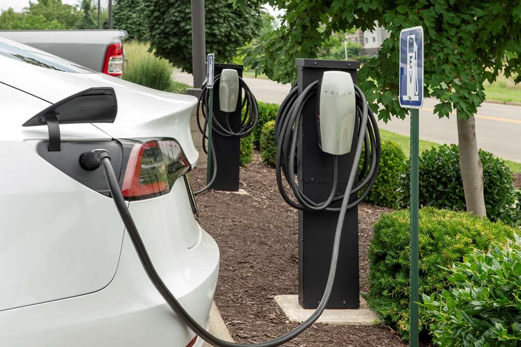 Hilton Garden Inn Murfreesboro Image