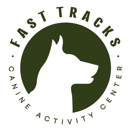 Fast Tracks Canine Activity Center