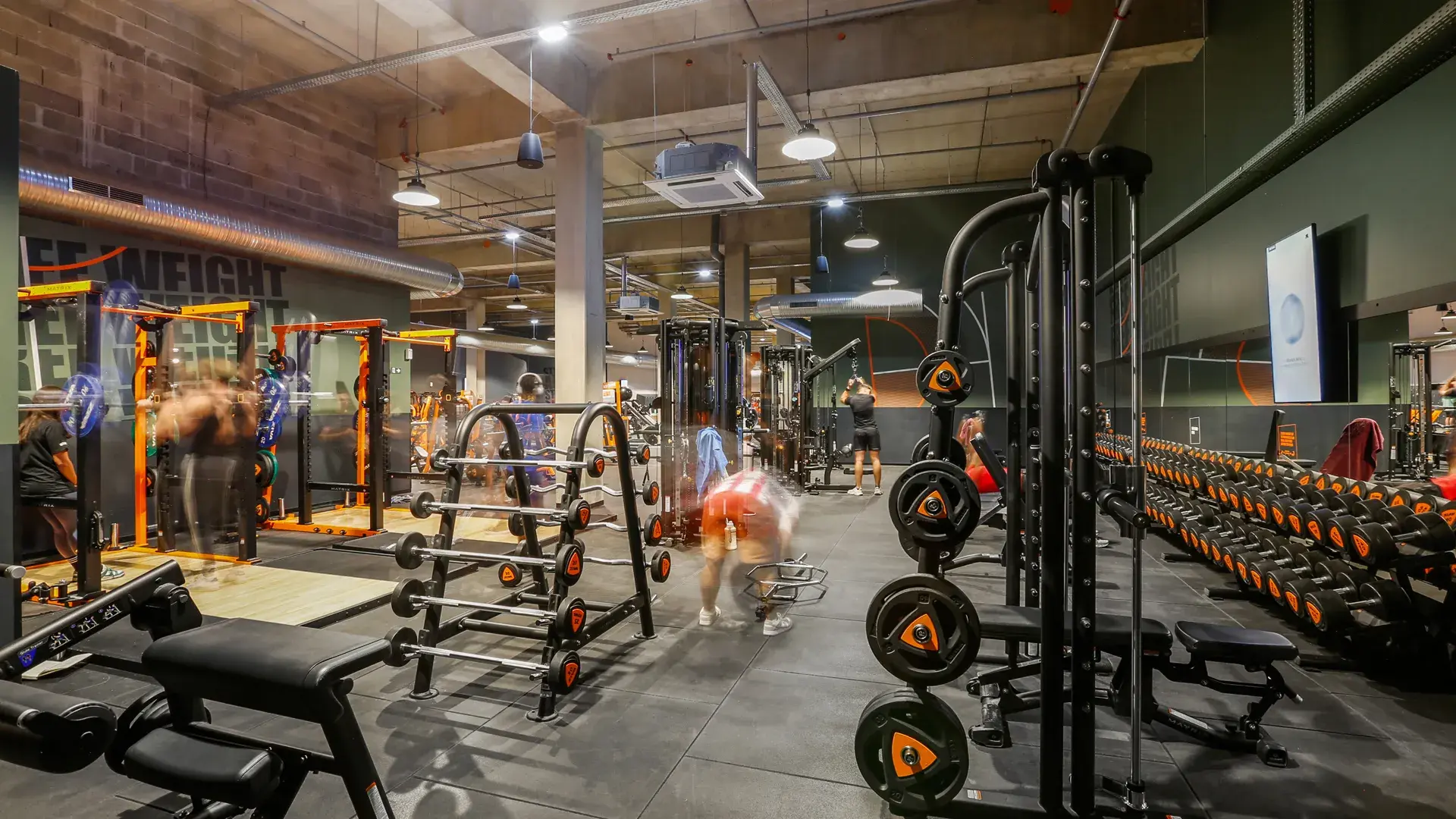 Miniature de la galerie