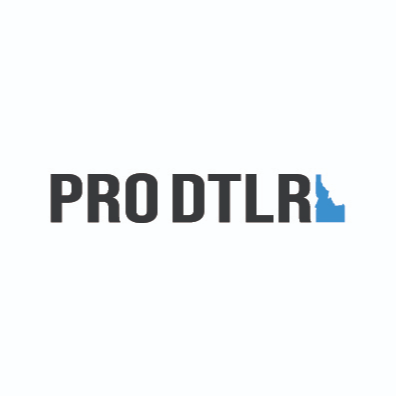 THE PRO DTLR
