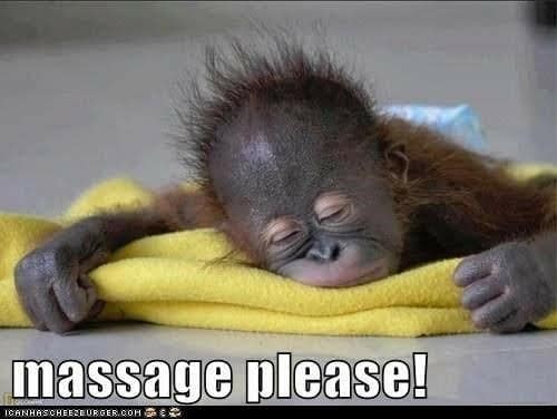 Images Little Oasis Therapies