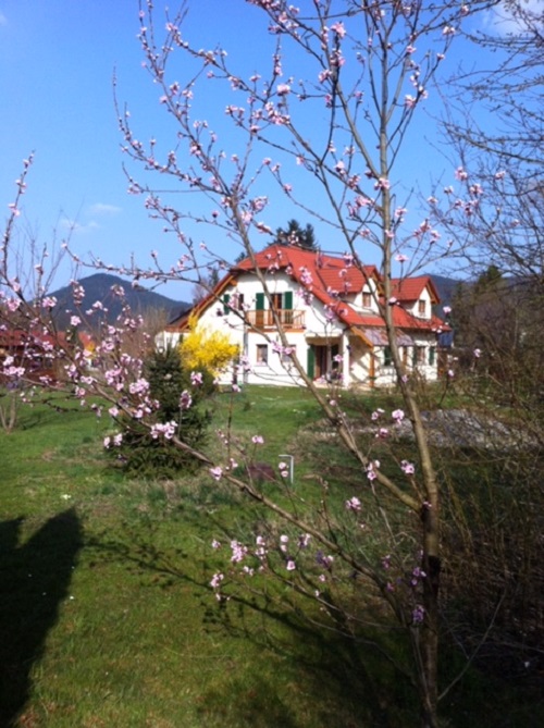 Bilder Immobilien Schober