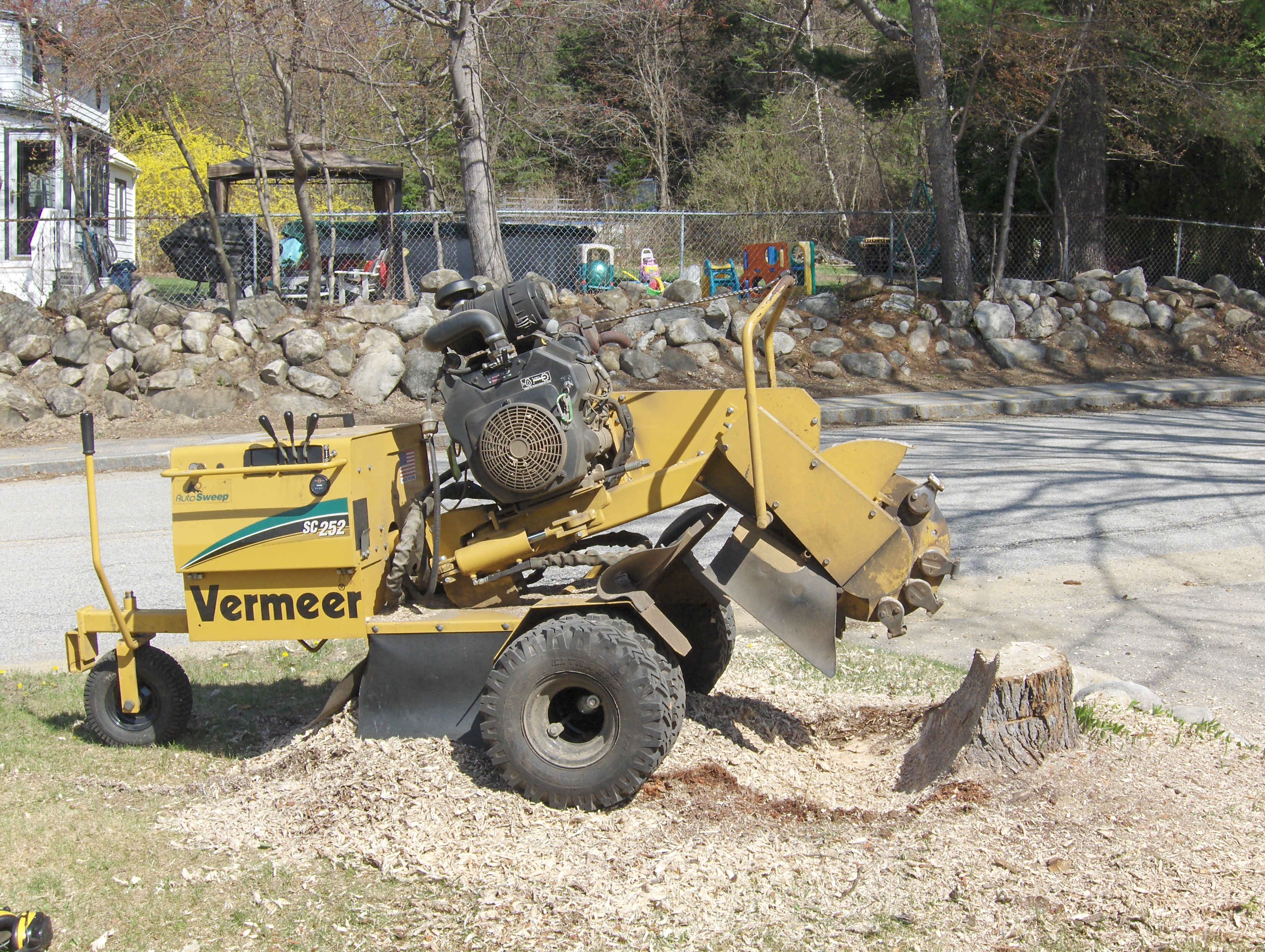 3B Tree Removal Image