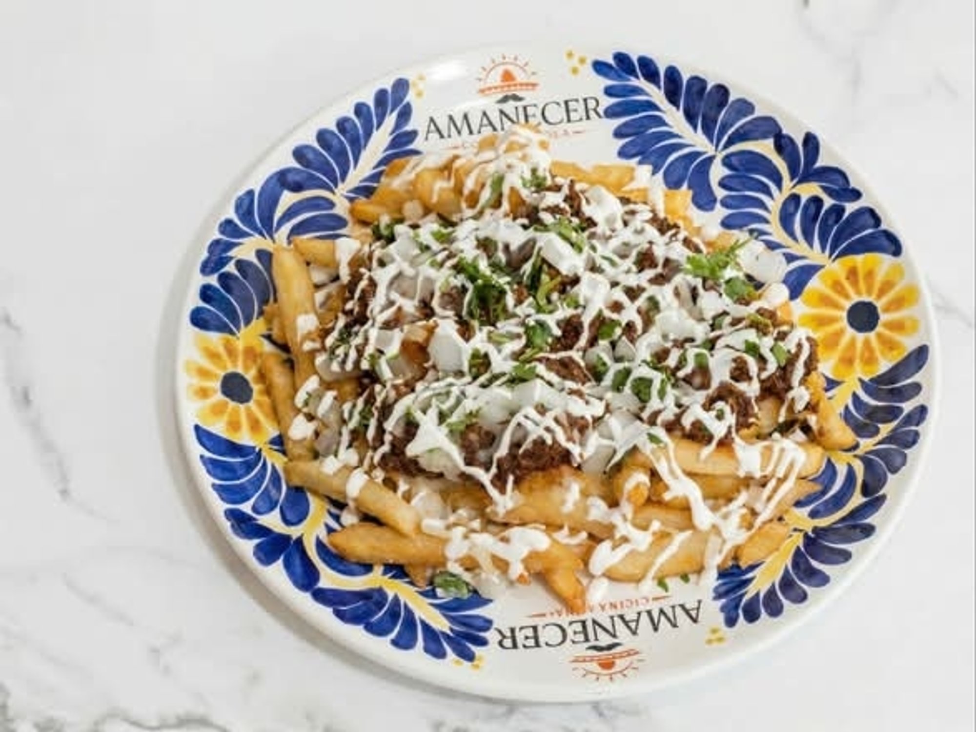 Birria Fries