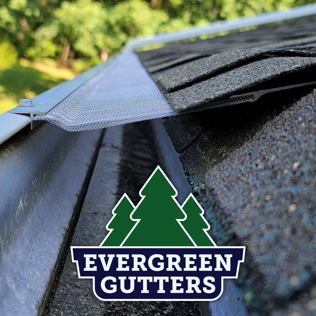 Evergreen Gutters Image