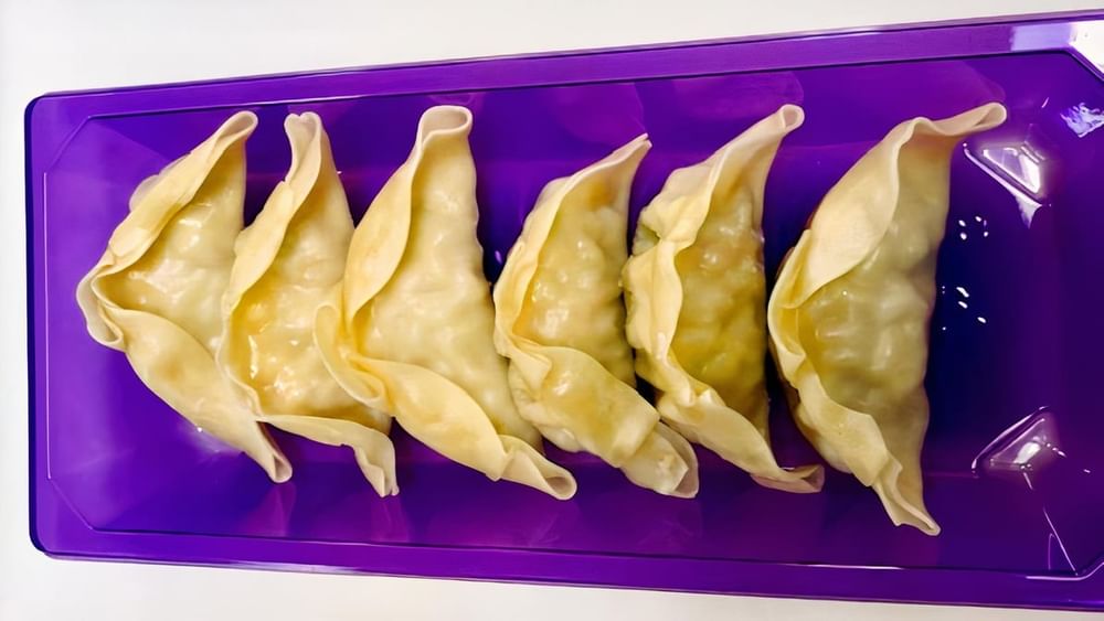 Vegetable Dumplings