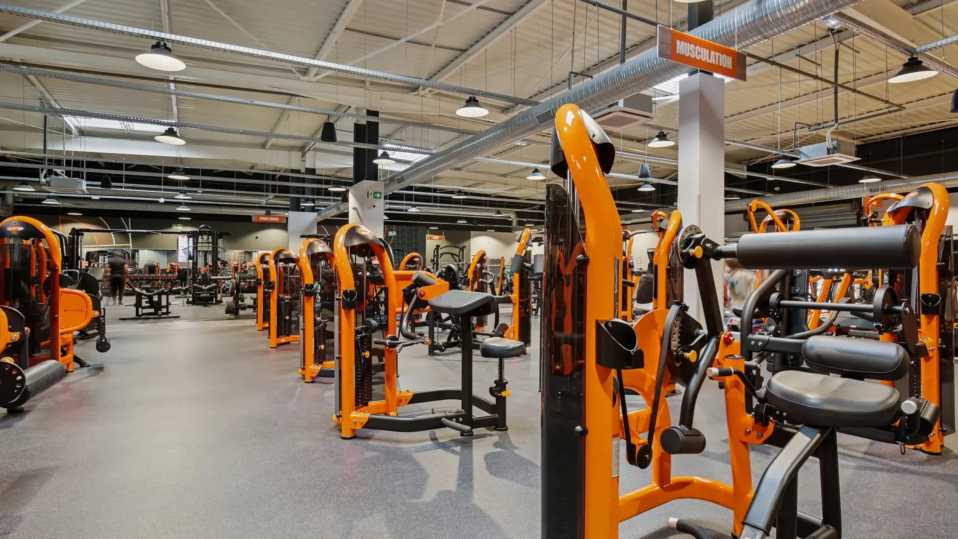 Miniature de la galerie