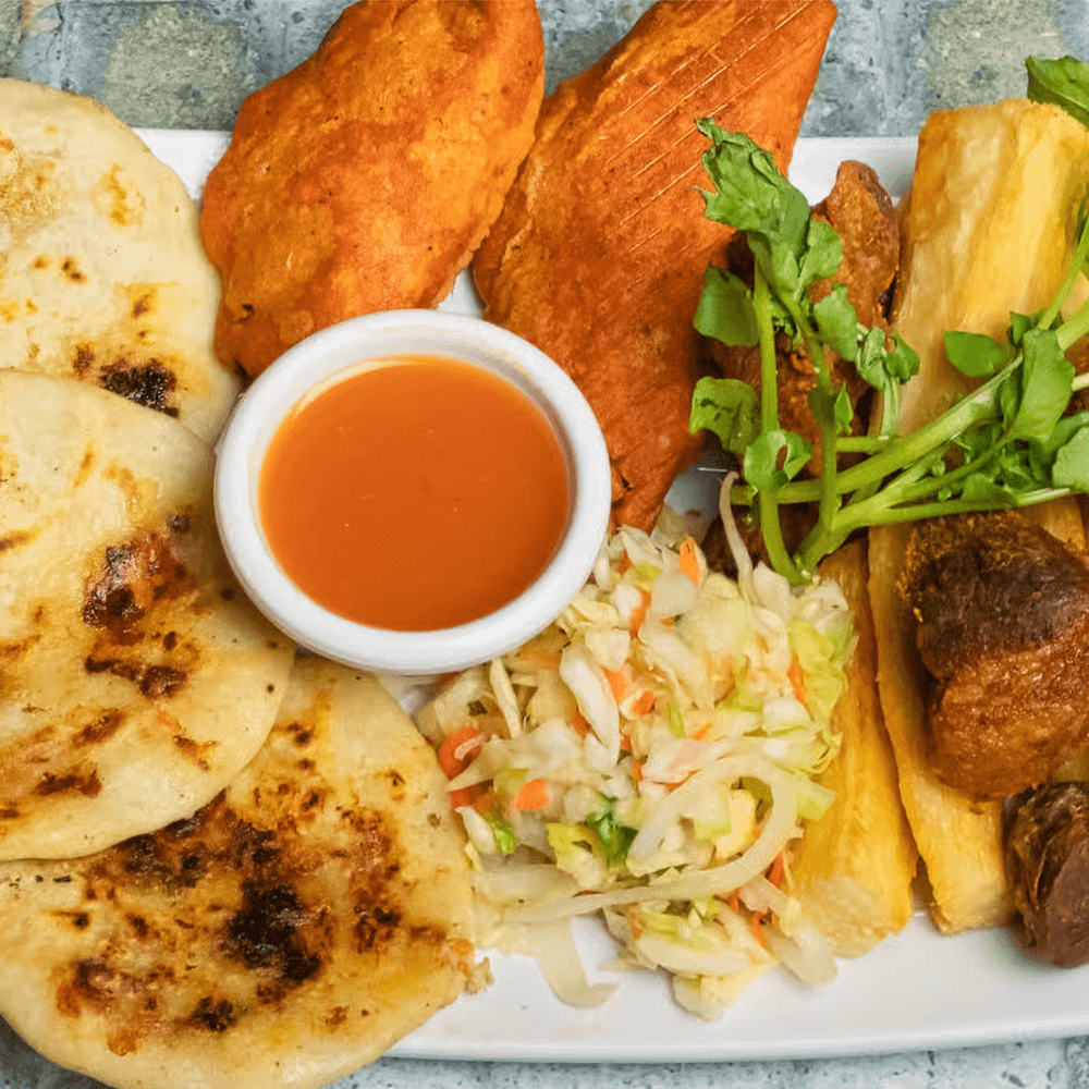SALVI SAMPLER