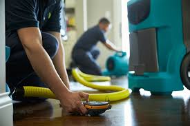 Water Damage Nashville 1-877 EMERGENCY Photo