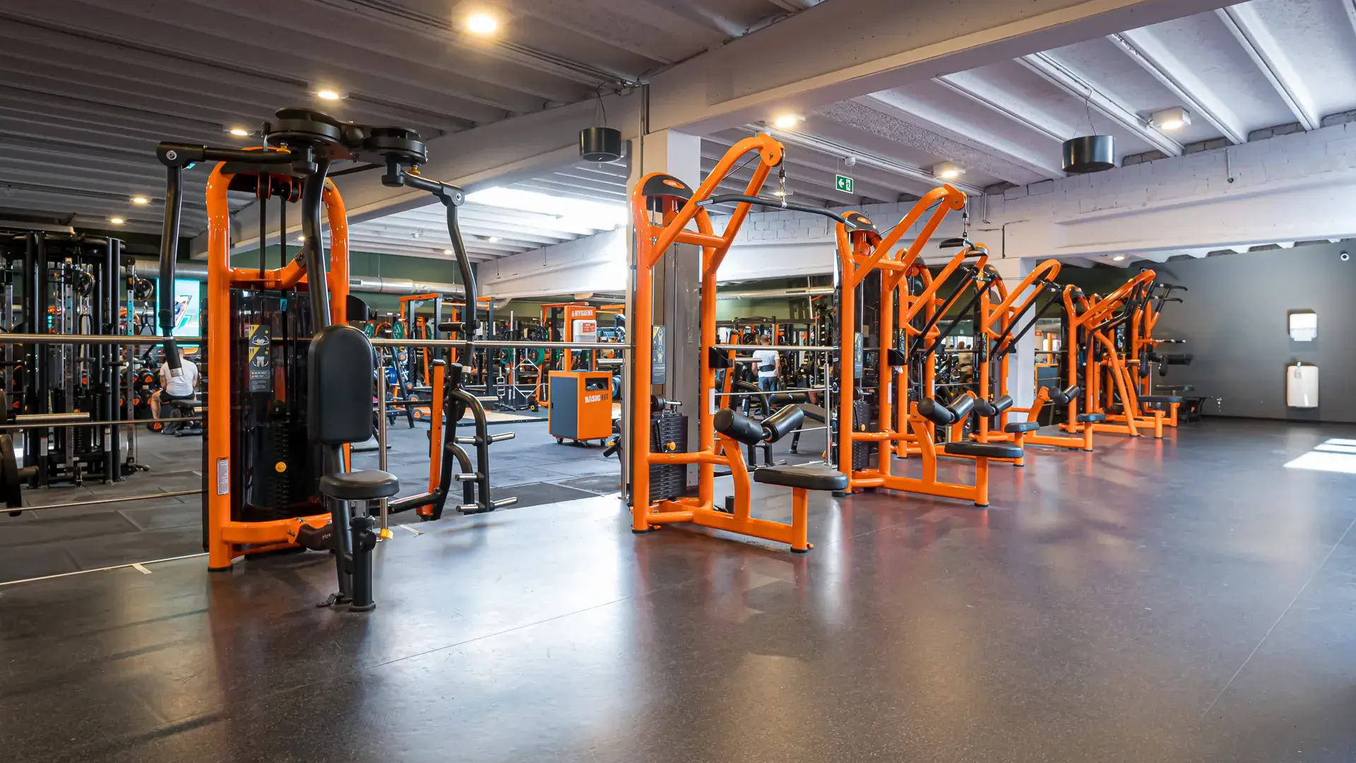 Miniature de la galerie