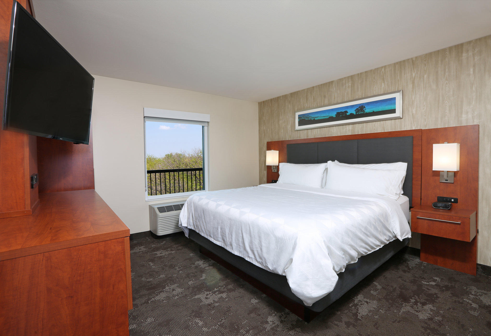 Holiday Inn & Suites Sioux Falls - Airport Photo