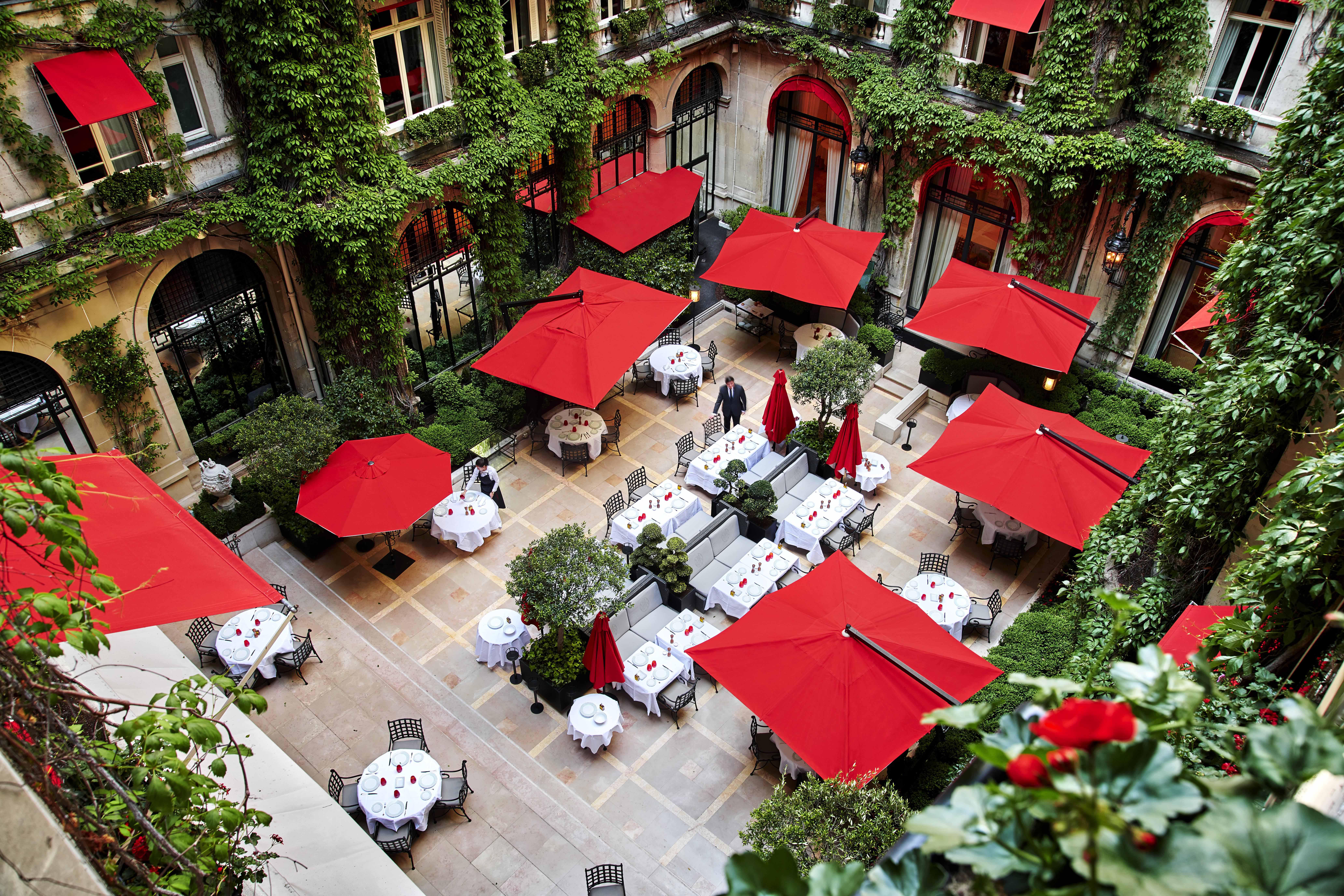 Images La Cour Jardin