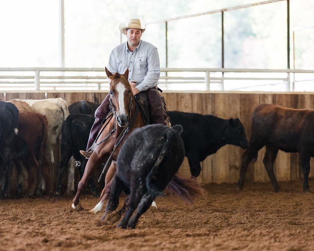 CTG Horse, LLC Image