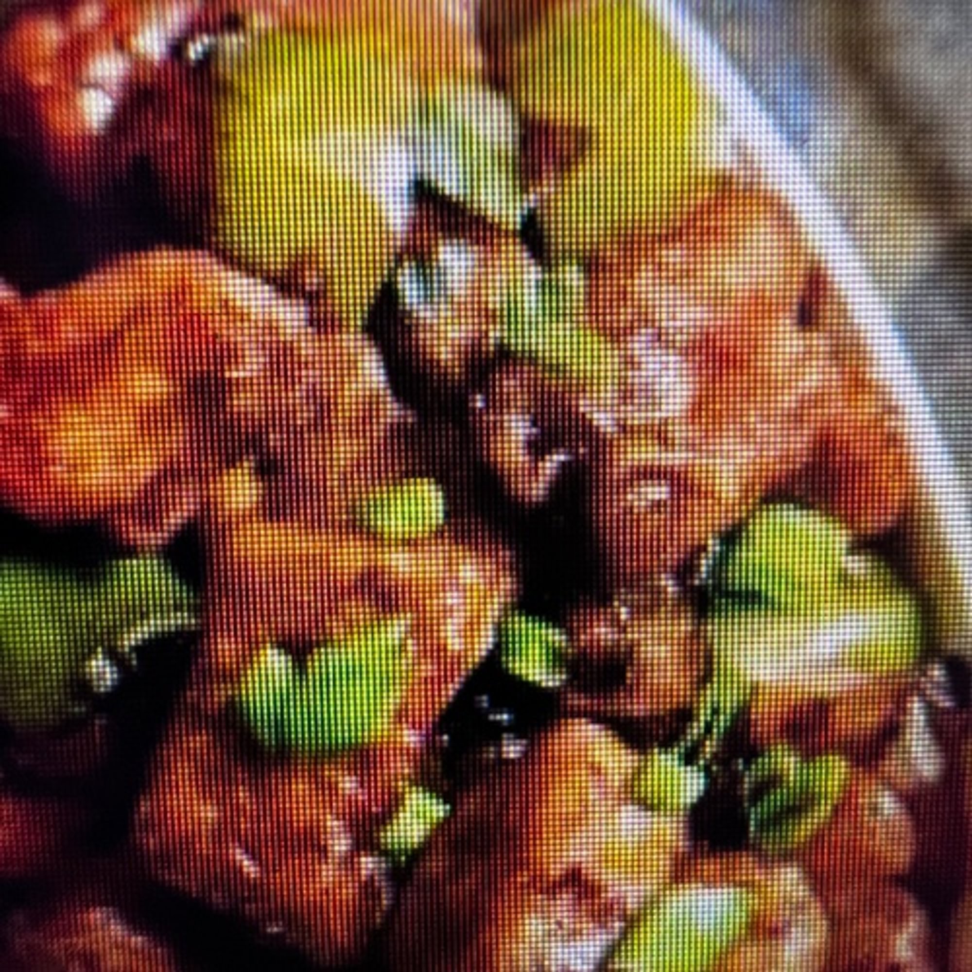 Kadahi Chicken (GF)