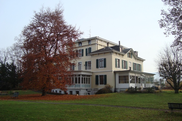 Galerie-Thumbnail