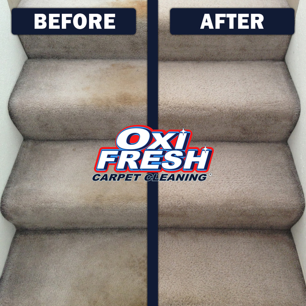 Images Oxi Fresh Carpet Cleaning