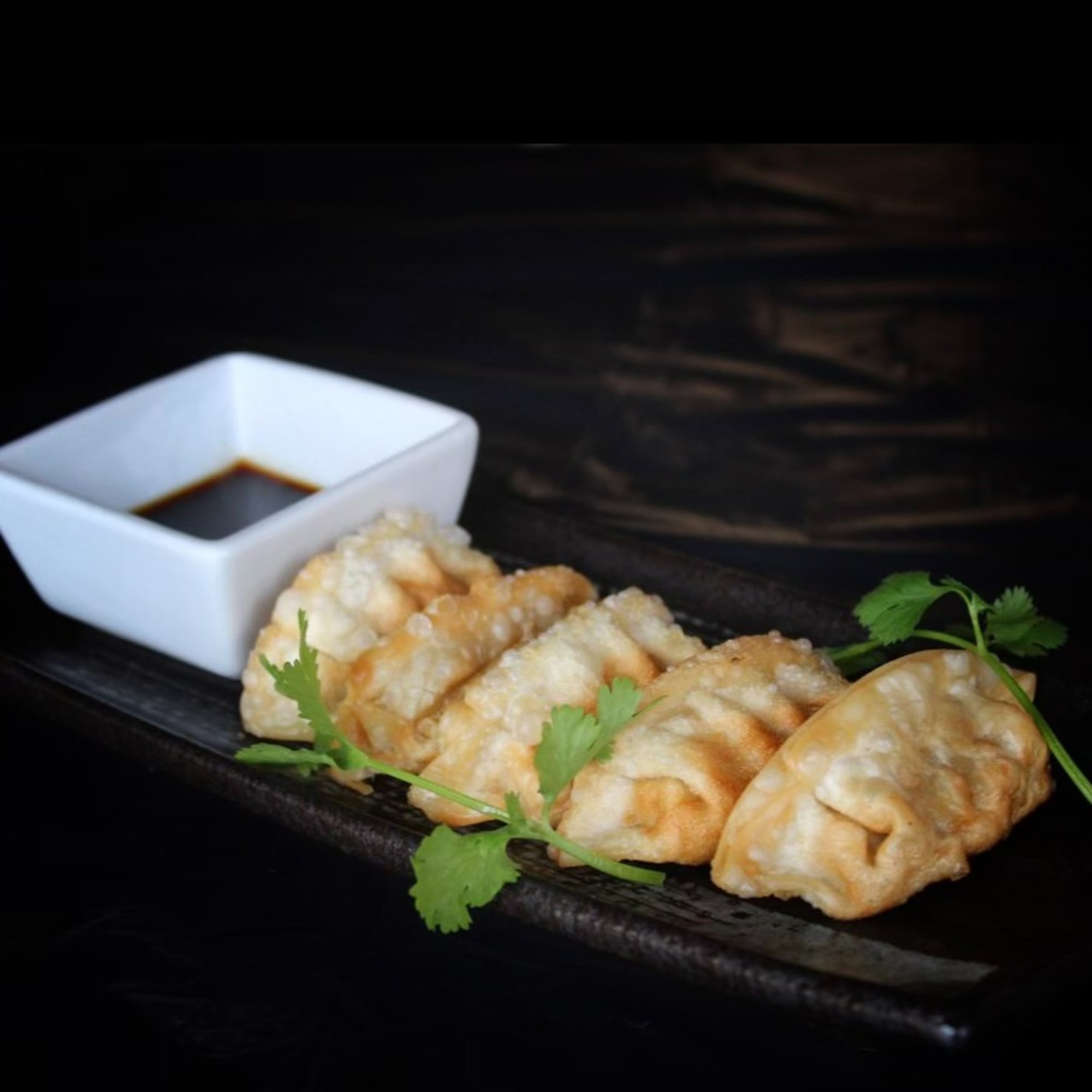 Hanoi Dumplings