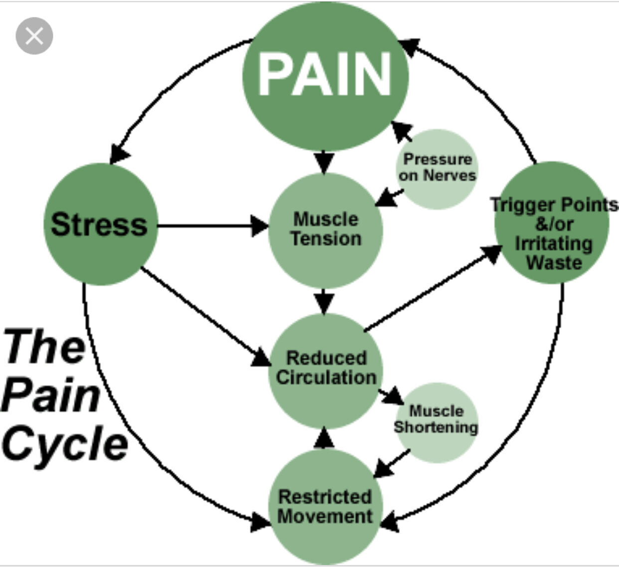 First Alternative Chiropractic Image