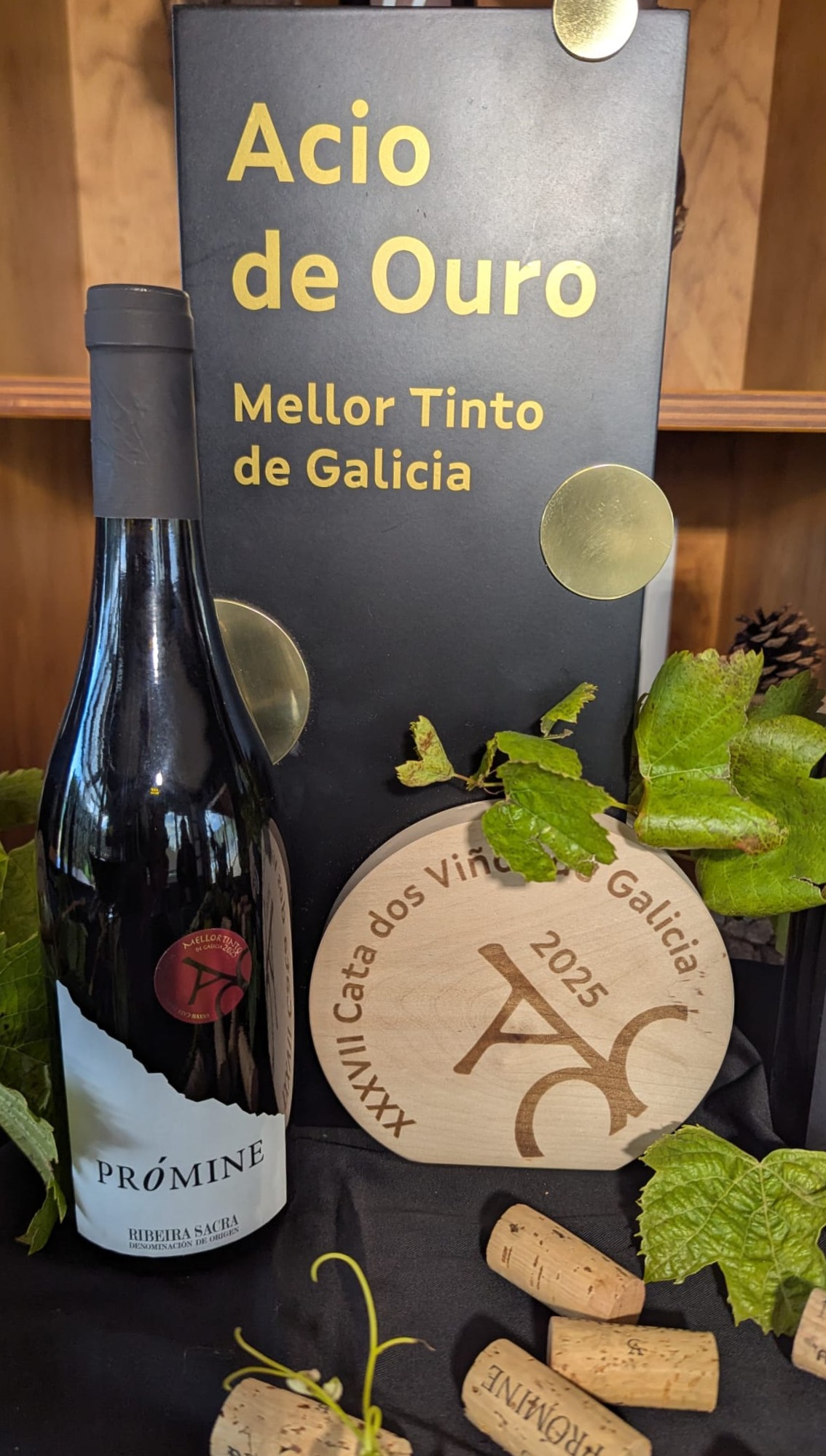 Galería en miniatura