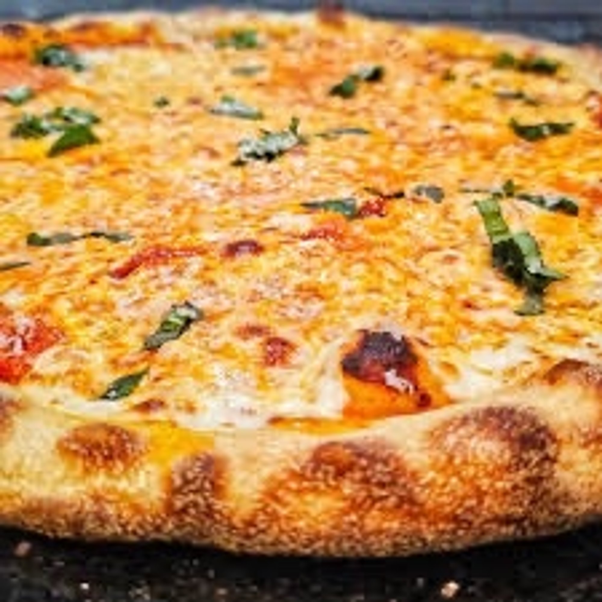 Vodka & Fresh Mozzarella
