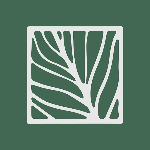 Revive Palmetto Aesthetics and Plastic Surgery