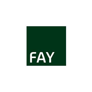 Logo von FAY Projects GmbH
