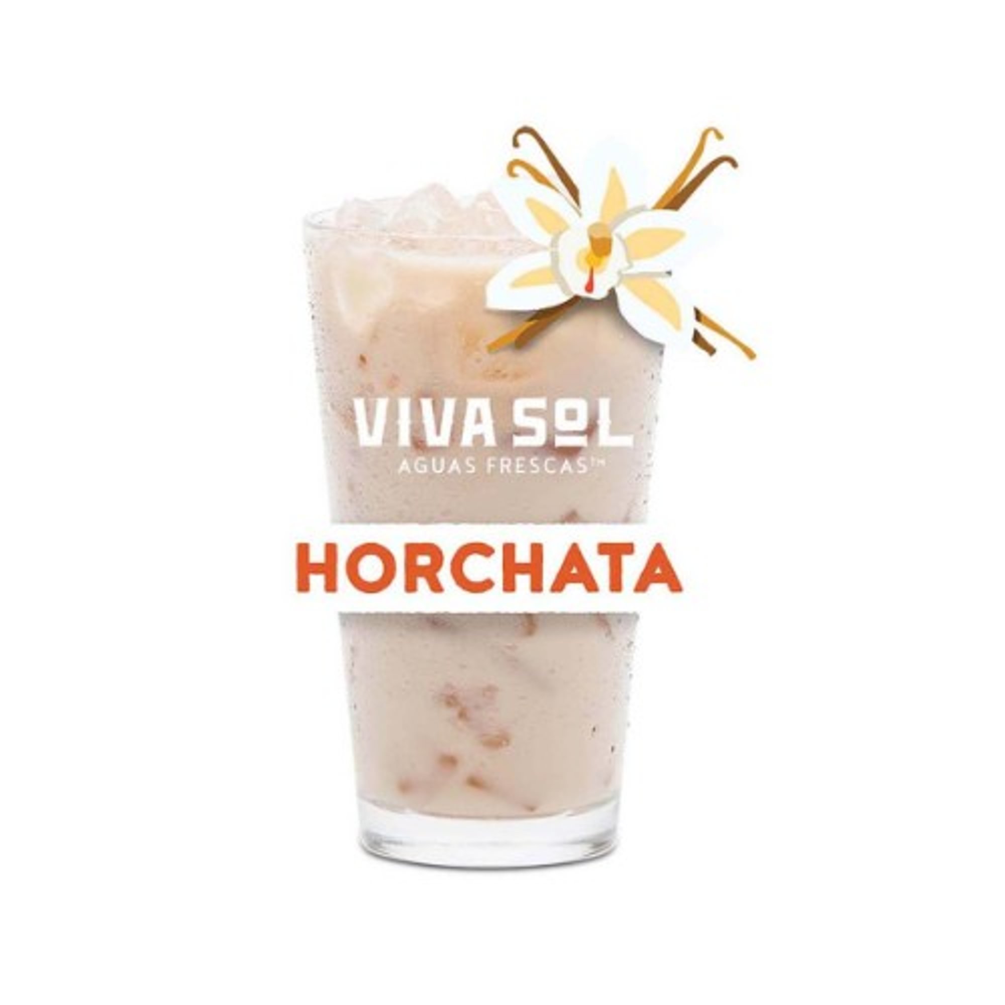 Homemade Horchata - Fountain