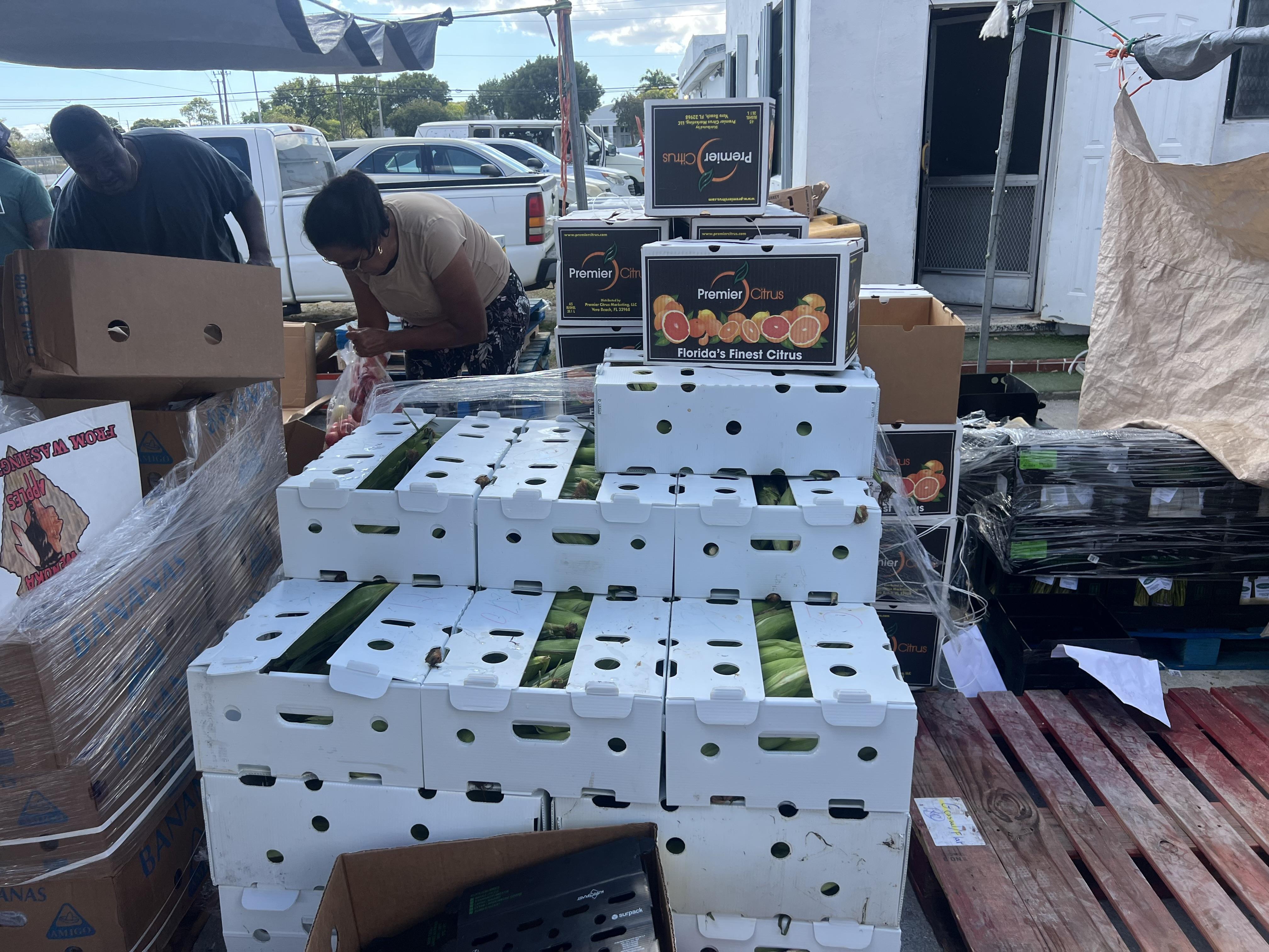 Top Rail Fence Pompano Beach Image