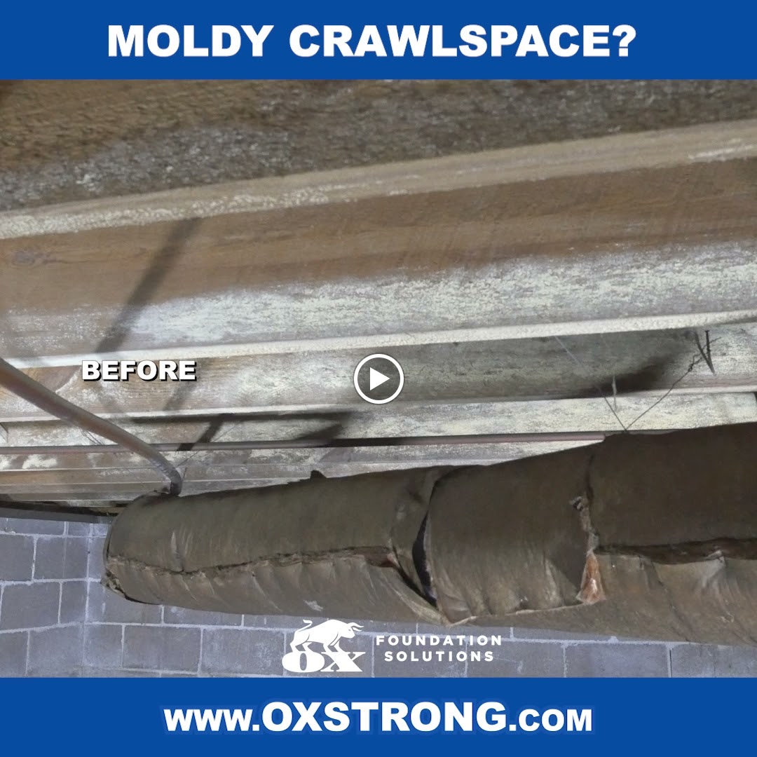 Ox Foundation Solutions Image