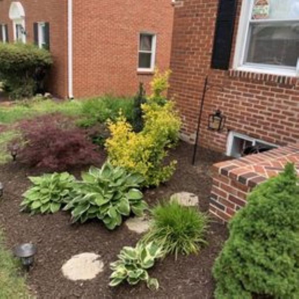 Landscaping Quality Services Photo