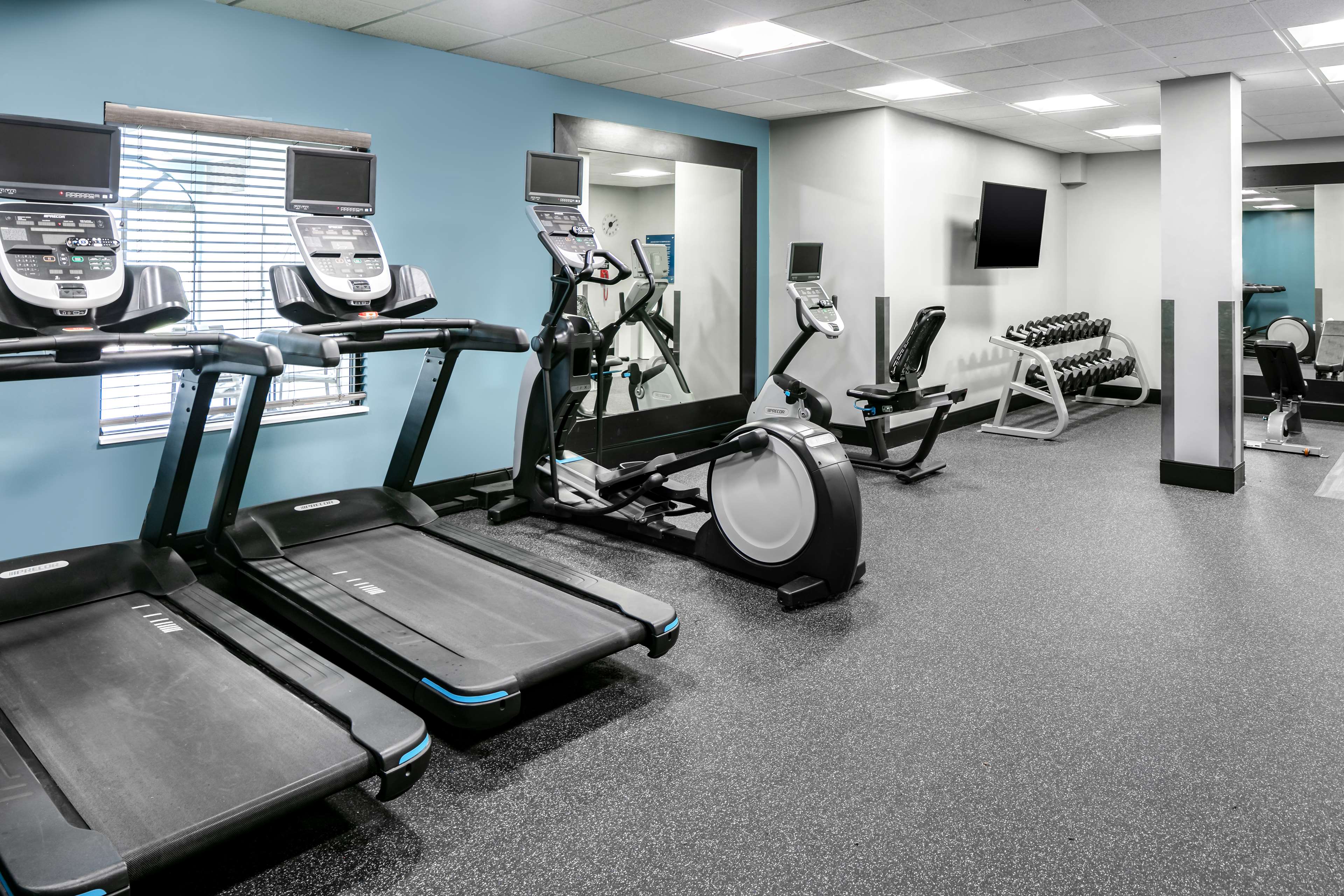 Health club  fitness center  gym